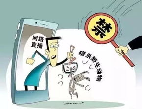科技頻道 | 中國網信息咨詢平臺 連接科技與未來的信息樞紐